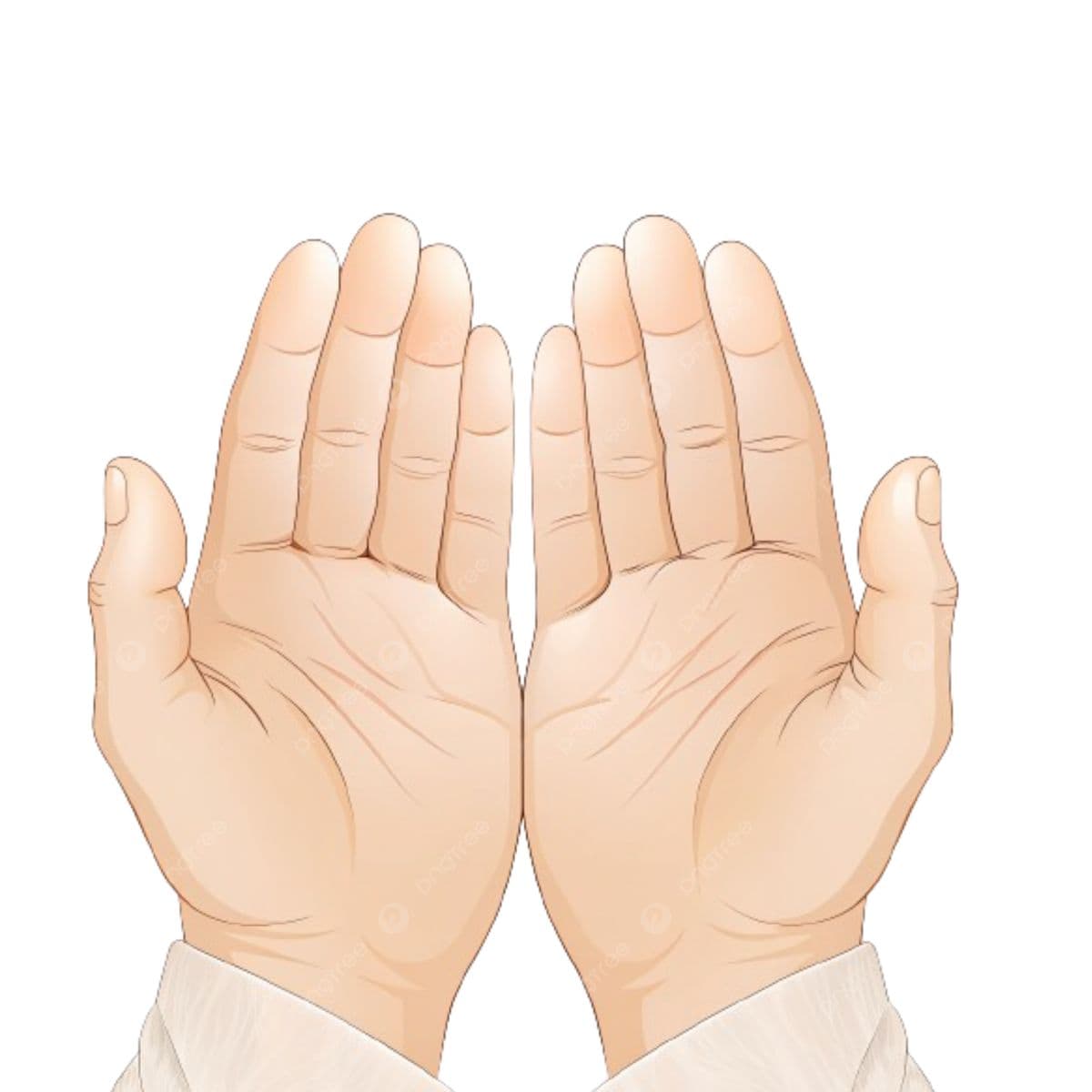 Zakat Calculator